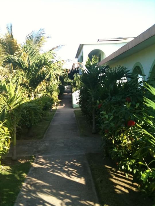 Der Palmengarten mit den Bungalows Hotel Hidden Paradise