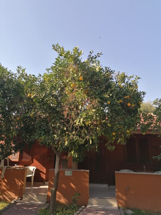 Gartenanlage Özlem Garden Hotel