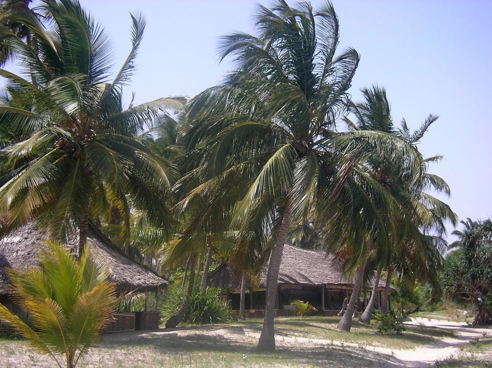 Wohnen unter Palmen Emayani Beach Lodge