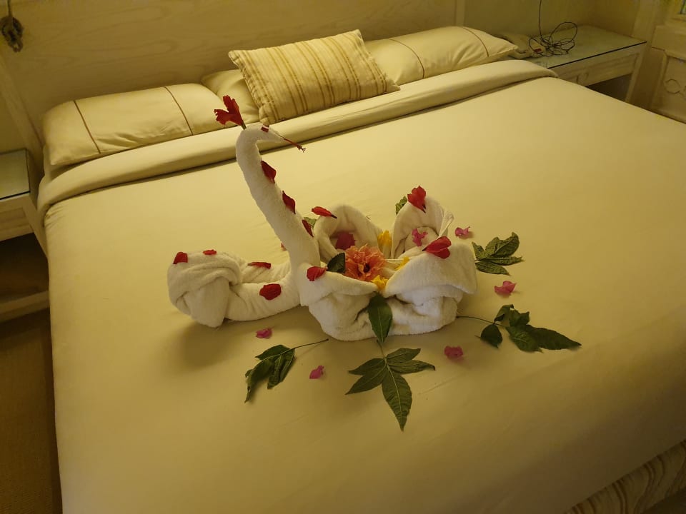 Zimmer Makadi Spa - Adults only