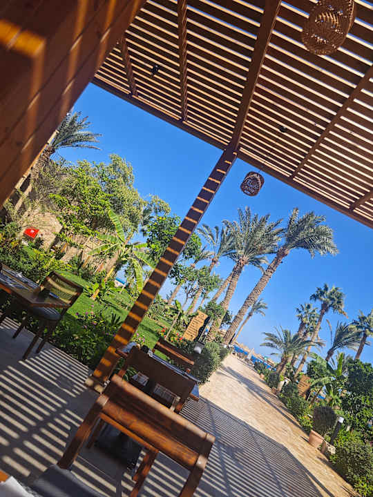 Gastro ananea Hurghada