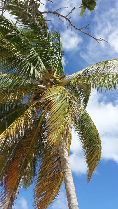Strand Sol Rio De Luna y Mares