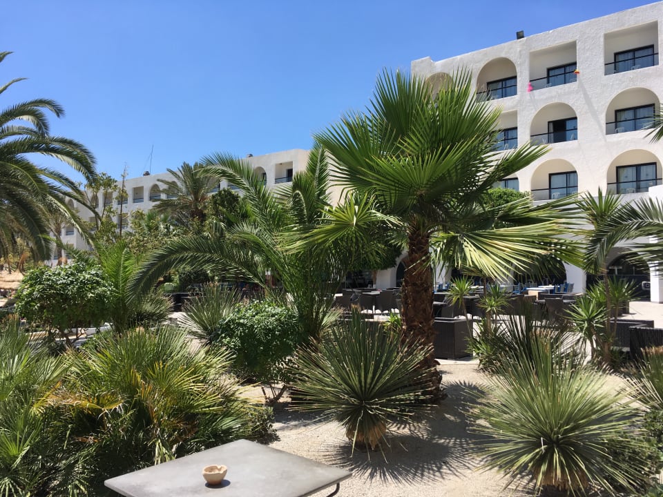 Gartenanlage Nozha Beach Resort & Spa