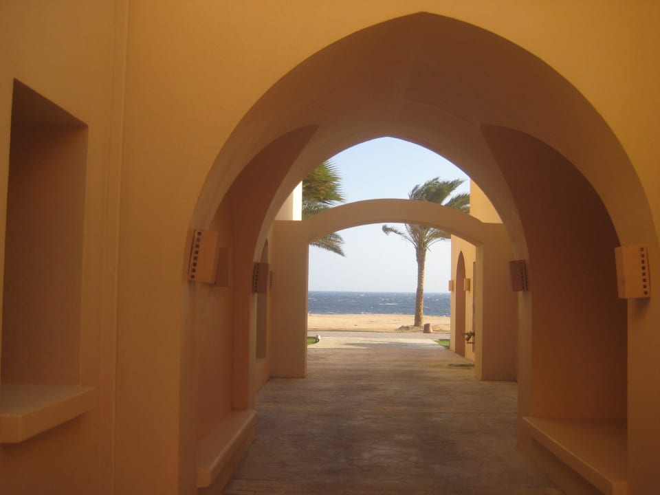 Weg zum Meer Steigenberger Coraya Beach - Adults only