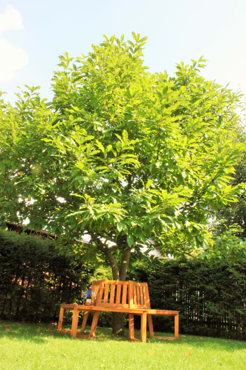 Gartenanlage Haus Sonnenruh