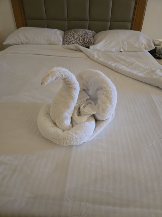 Zimmer Fort Arabesque Resort, Spa & Villas