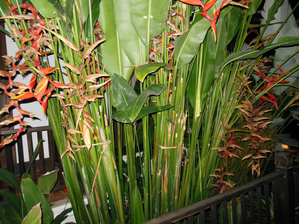 Garten Hotel The Legendha Sukhothai Resort