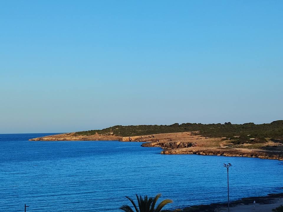 Ausblick Hipotels Hipocampo Playa
