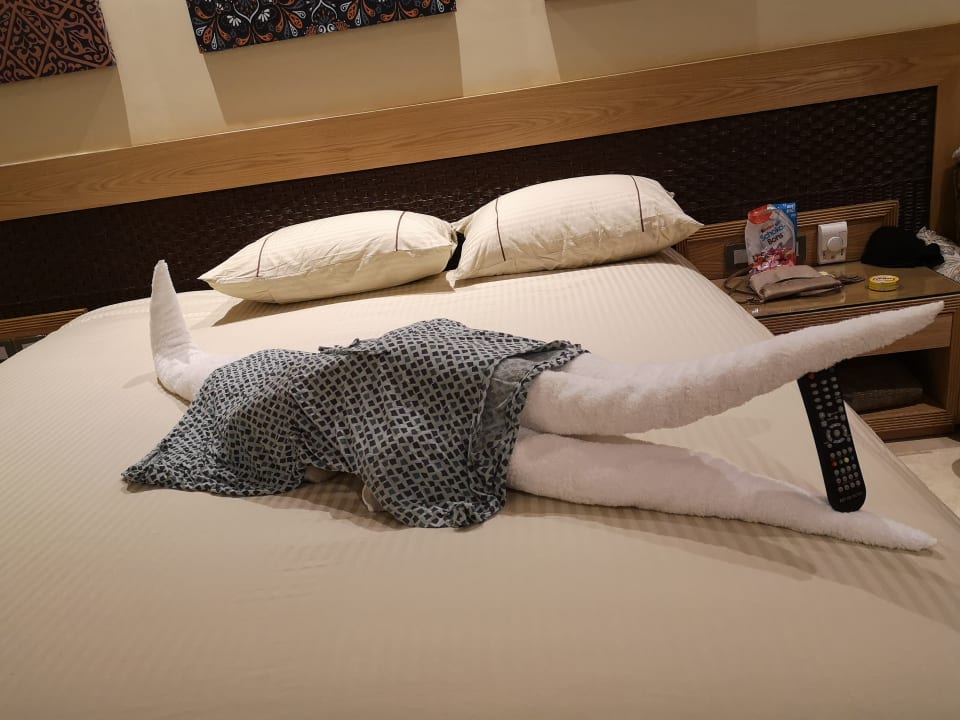 Zimmer Siva Grand Marina