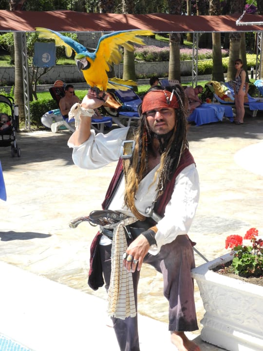 Fotoshooting mit Captain Jack Sparrow? Miramare Queen Hotel
