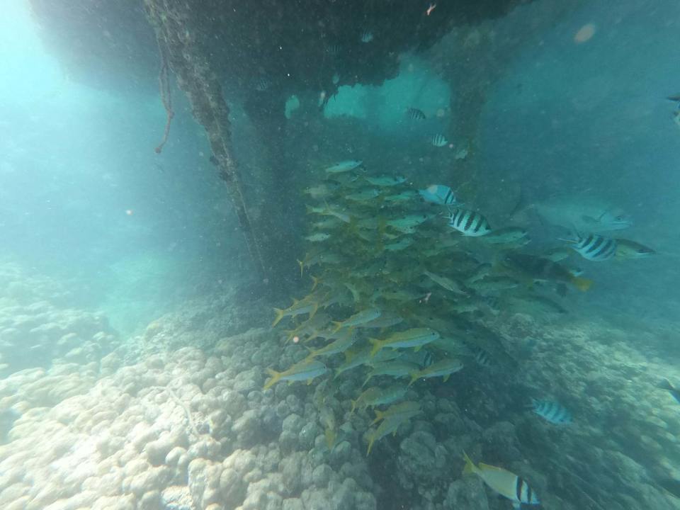 Strand Makadi Spa - Adults only