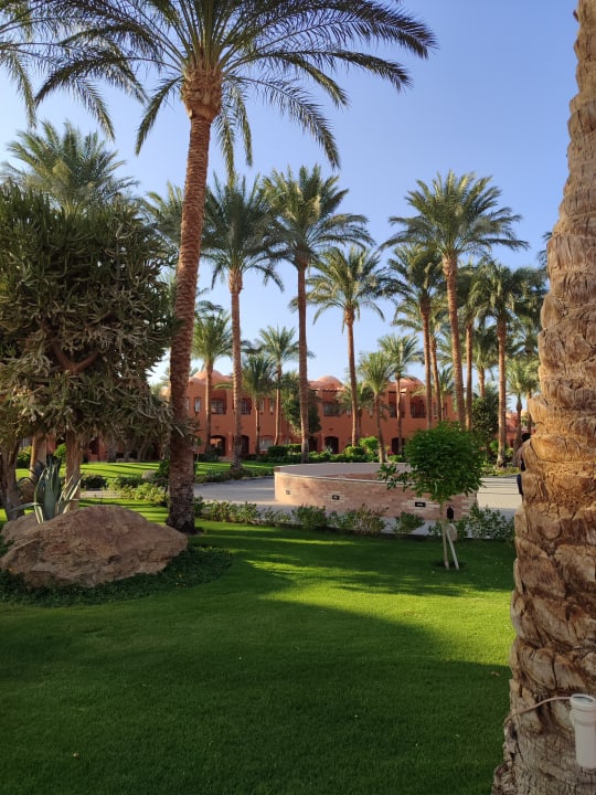 Gartenanlage Jaz Makadi Oasis Resort