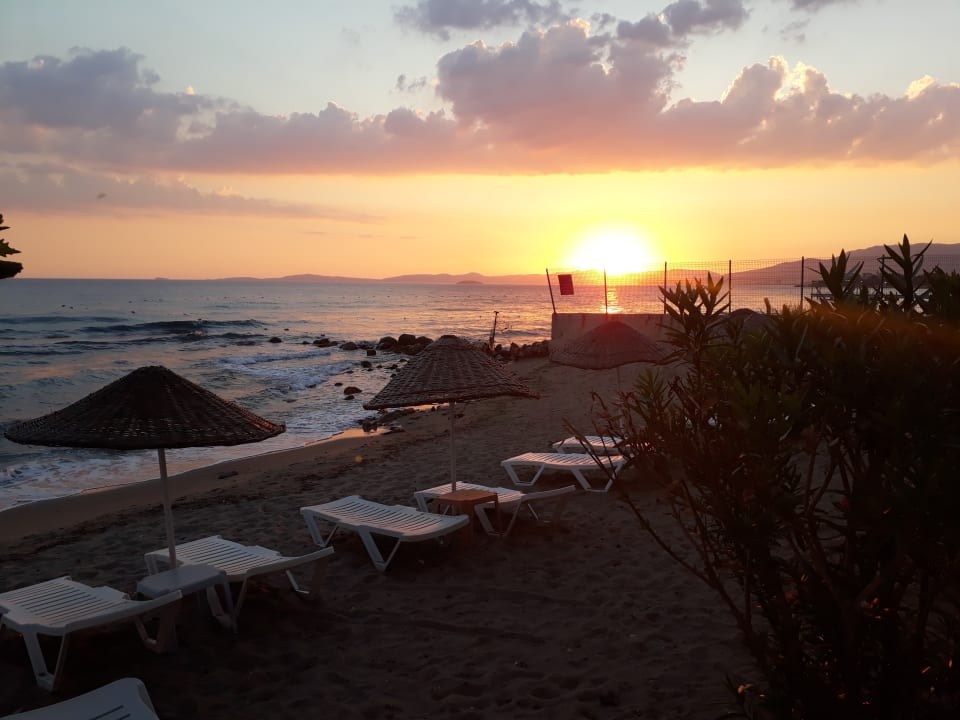 Außenansicht Dogan Paradise Beach