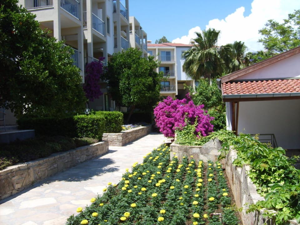 Sentier fleuri Arum Barut Collection