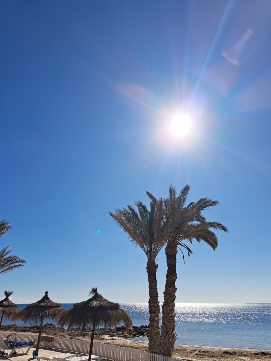 Strand Hotel El Mouradi Djerba Menzel