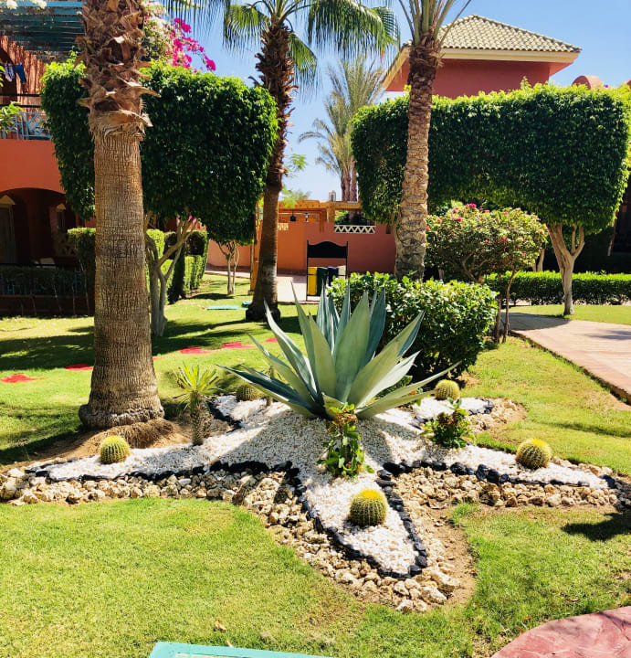 Gartenanlage TUI MAGIC LIFE Redsina Sharm El Sheikh