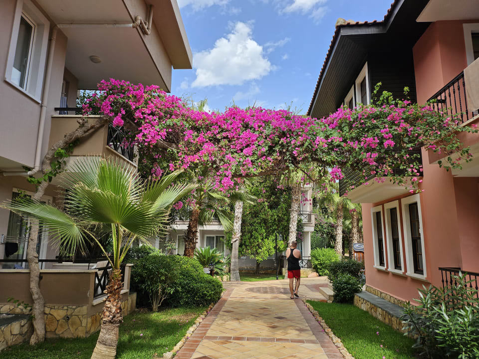 Außenansicht Club Dizalya