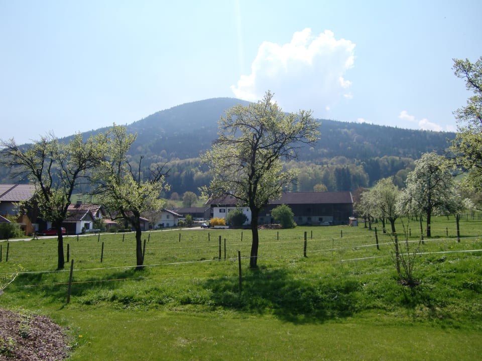 Aussicht vom Balkon Gasthof Tiroler Hof
