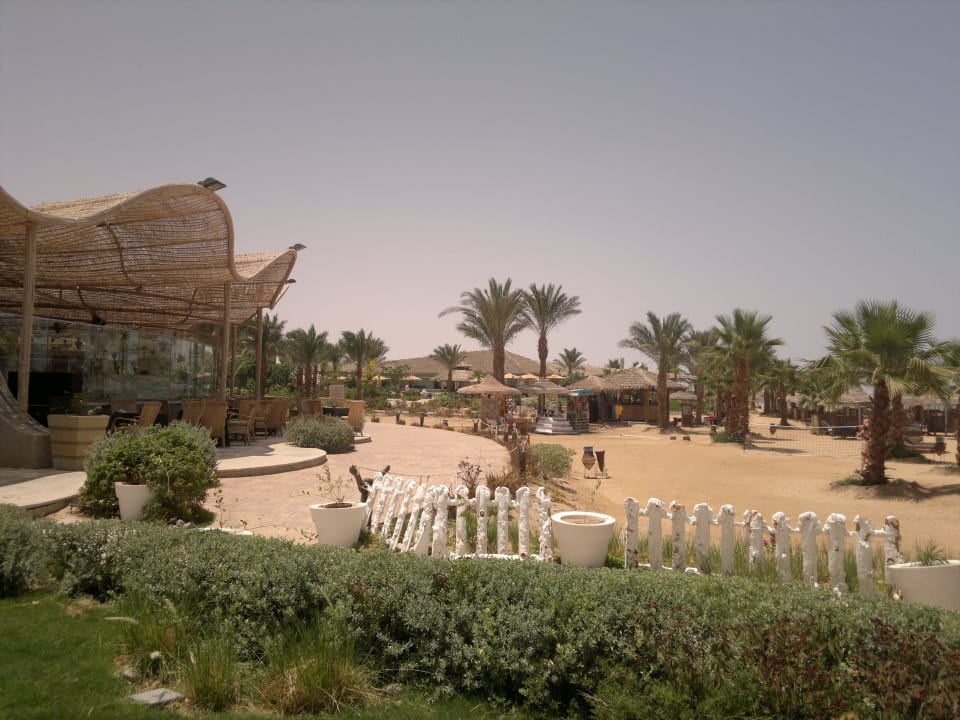 Po lewej bar paparazzi przy plazy Amwaj Beach Club Abu Soma Resort