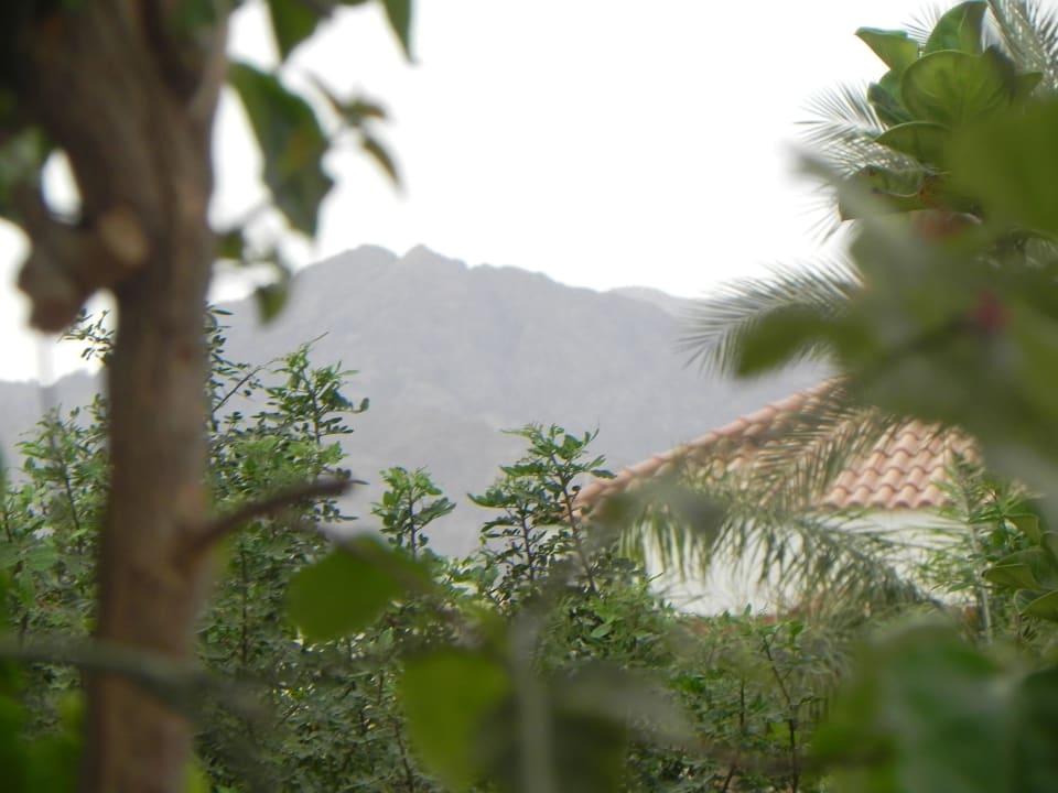 Vom Zimmer aus Ghazala Gardens