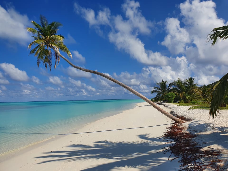 Strand Meeru Maldives Resort Island