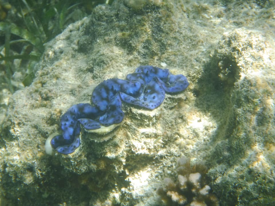 Sport & Freizeit Adaaran Select Hudhuran Fushi - Premium All Inclusive