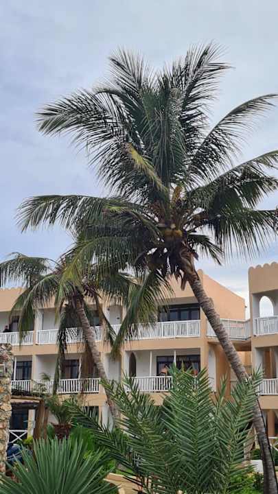 Außenansicht Reef & Beach Resort