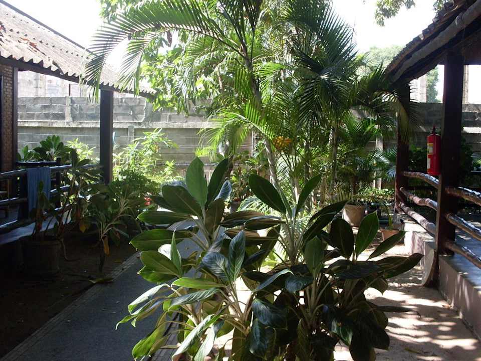 Weg zum Bungalow Hotel The Cottage