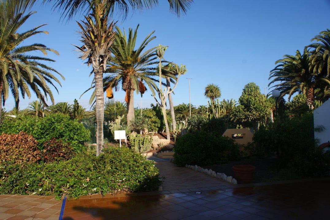 Ogród SBH Crystal Beach Hotel & Suites