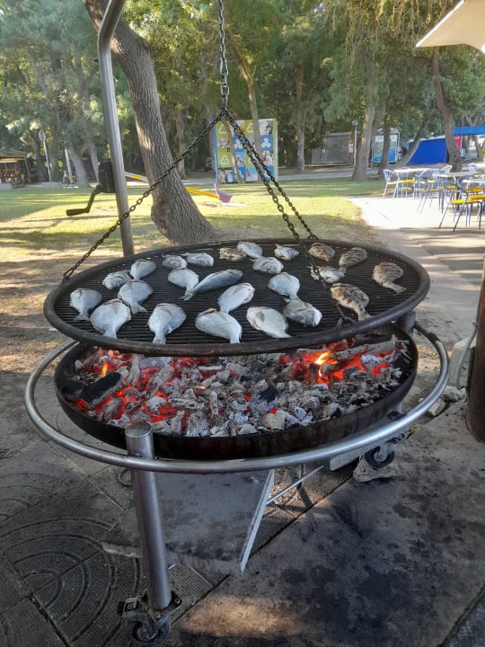 Gastro Hotel Borjana