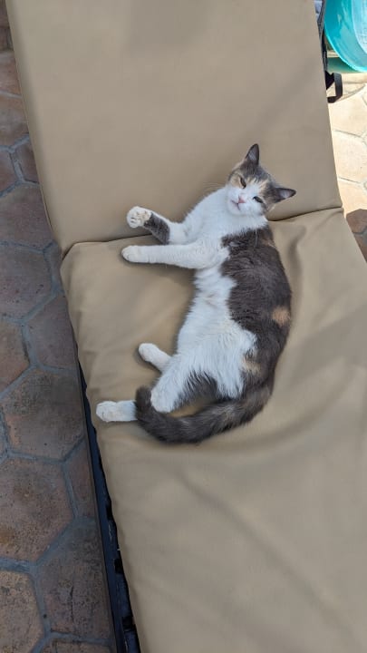 Pool Hotel Three Corners Ocean View prestige - Adults only