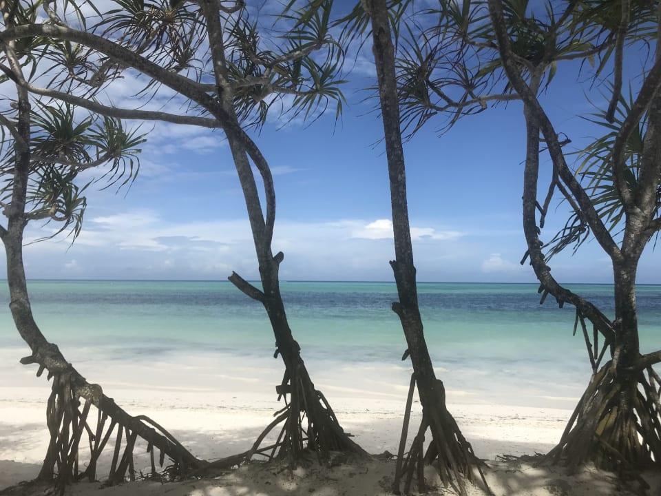 Strand Neptune Pwani Beach Resort & Spa