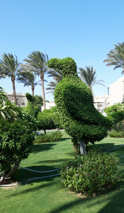 Gartenanlage Jaz Makadi Oasis Resort