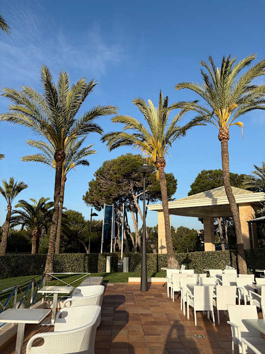 Gartenanlage Hipotels Hipocampo Playa
