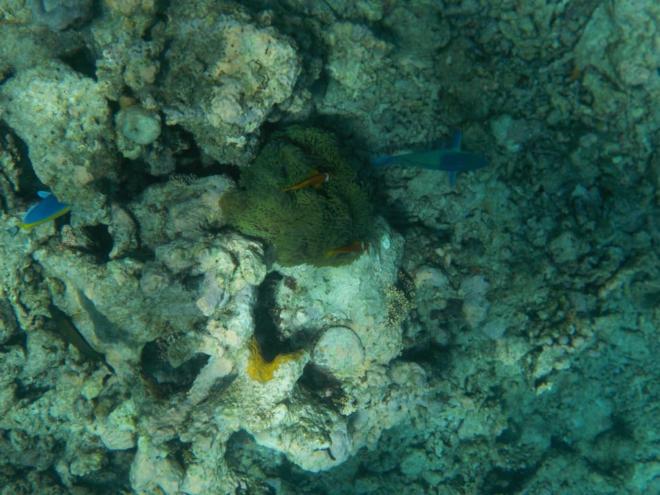 Sport & Freizeit Adaaran Select Hudhuran Fushi - Premium All Inclusive