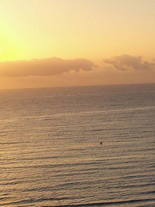 Aussicht Sonnenaufgang Hipotels Hipocampo Playa