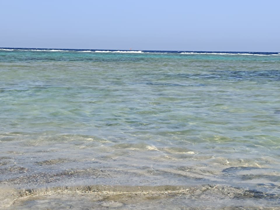 Strand Pickalbatros Sea World Resort - Marsa Alam