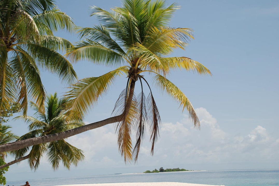 Palme und Meer Diamonds Thudufushi