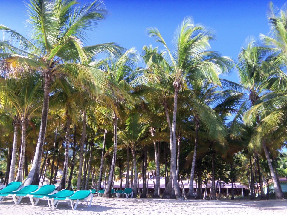 Am strand ist immer platz Playabachata Hotel