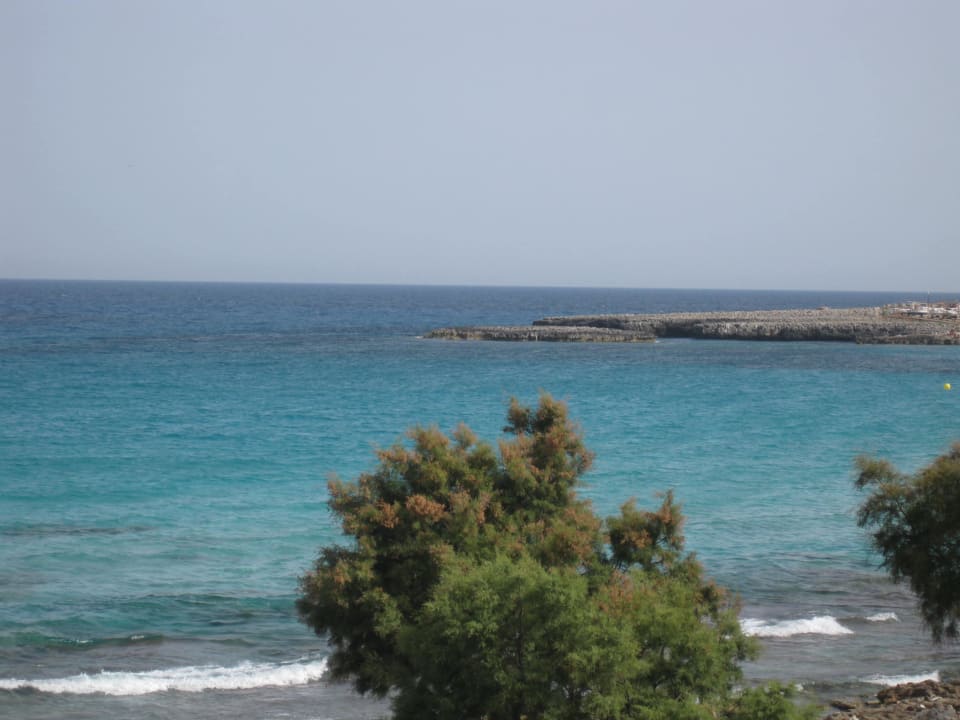 Blick vom Zimmer Aparthotel Playa Dorada