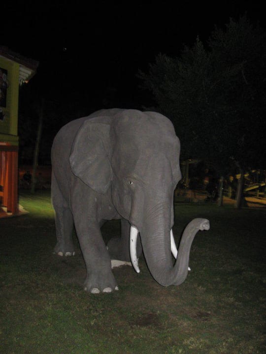 Achtung Elefant Asteria Family Belek