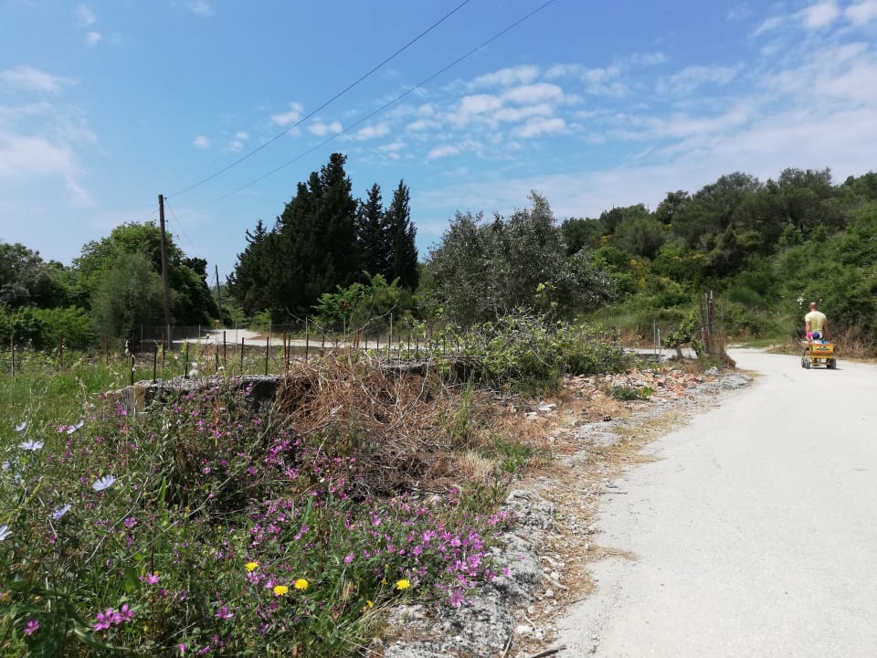 Ausblick Honigtal Farmland