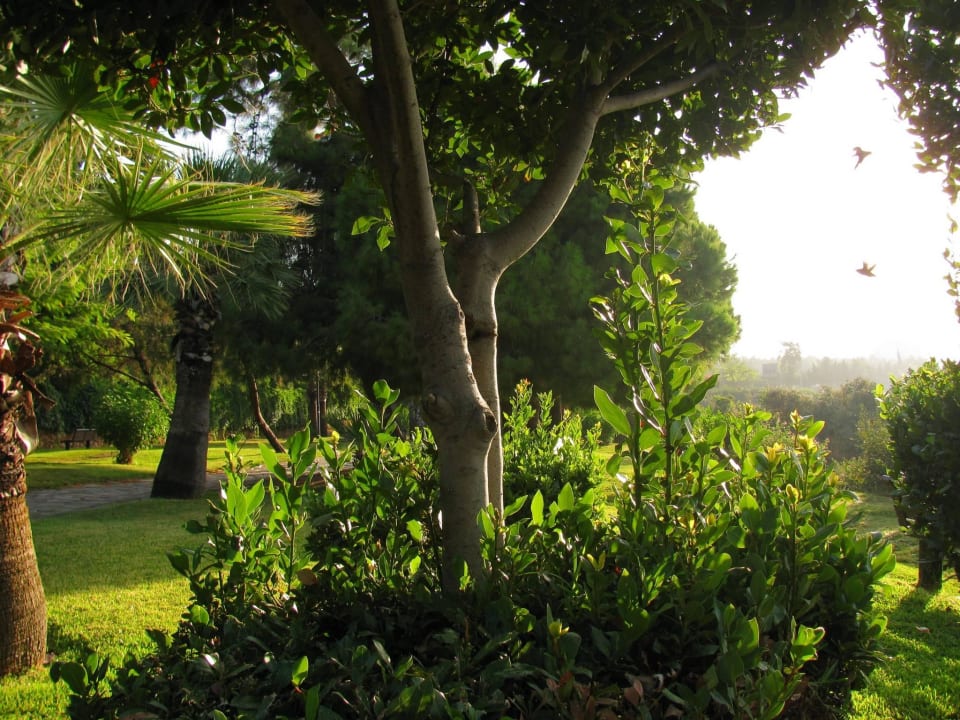 Парк по дороге к морю Hotel Özkaymak Falez