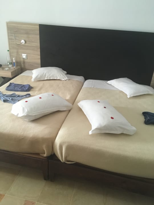 Zimmer Medina Solaria & Thalasso