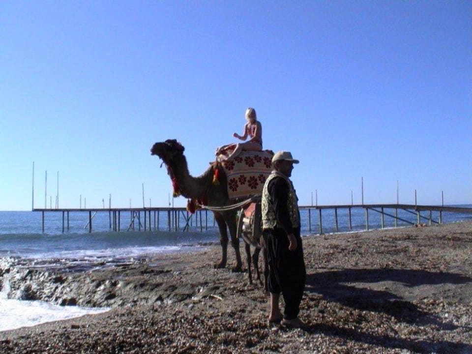 Kamelreiten Solivia Hotel