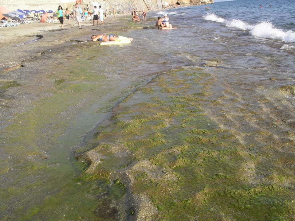 Der schöne Strand Club Hotel Mirabell