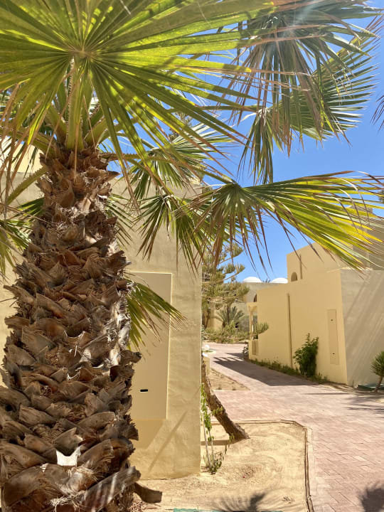 Gartenanlage Aldiana Club Djerba Atlantide