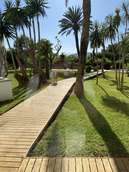 Gartenanlage BG Hotel Rei del Mediterrani Palace