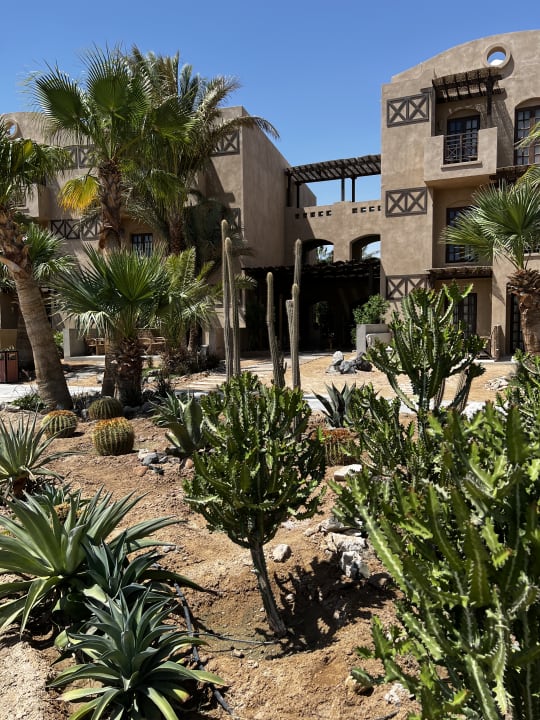 Gartenanlage Cook's Club El Gouna
