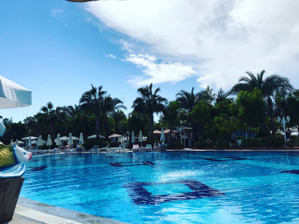 Pool Hotel Delphin Imperial